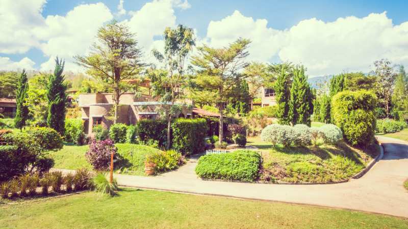 Creating a Functional and Beautiful Landscape: A Complete Guide