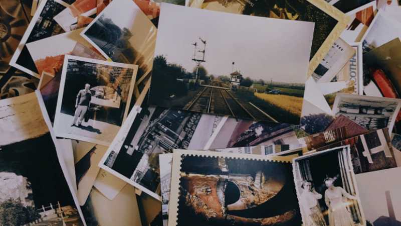 Comparing the Top Stock Photo Platforms: Vecteezy vs. Pexels vs. Shutterstock