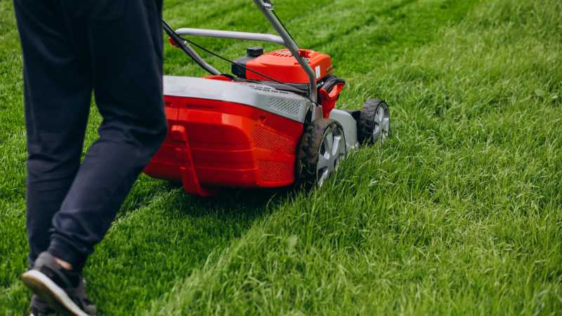 Working With A Local Lawn Care Team Lead To More Consistent And Reliable Results